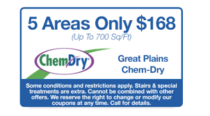 Carpet Upholstery Cleaning Coupons With Images Professional Carpet Cleaning