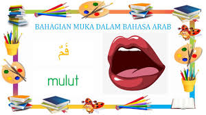Perkenalan dalam bahasa arab disebut ta'aruf (التَّعَارُفُ). Bahagian Muka Dalam Bahasa Arab Youtube