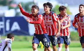 Rebaño Pasión - News update