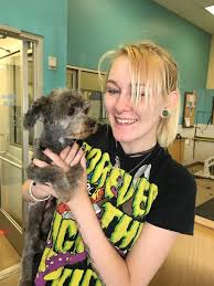From grooming, to training and vet services, petco has you and your large or small pet covered. Petco Gift Card Tulsa Ok Giftly