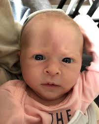 As requested, a side by side of all 3 kids at 2 weeks old. The first one is  Savannah, then Bobby, then Olivia. Do you think she looks like her siblings?