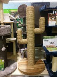 At a bigger scale, this can also work for a dog house. Cactus Cat Scratching Post Cat House Diy Cat Scratching Post Cactus Cat