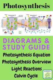 Photosynthesis Diagrams And Study Guide Distance Learning Photosynthesis Biology Interactive Notebook Secondary Science Classroom