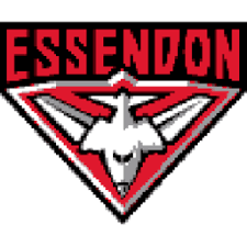 Essendon bombers logo air freshener. Essendon Fc Premium Hospitality And Corporate Sales
