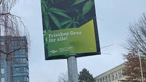 In fulda ist die afd aktuell zweitstärkste partei. Grune Jugend Hessen Wahlwerbung Mit Cannabis Pflanze