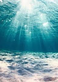 Your Teeth Really Should Last You An Entire Life So It Is Imperative That You Keep On Top Of Them Oral Heal Ocean Wallpaper Ocean Photography Sea Photography