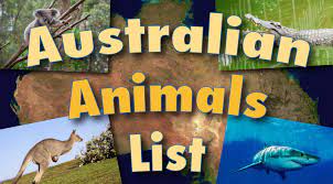 Australian Animals List With Pictures Facts Discover Australia S Wildlife