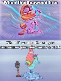 Hitting Bikini Rock Bottom R Bikinibottomtwitter Spongebob Squarepants Know Your Meme