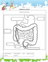 View our free printables online on the 1st grade science worksheets page. Science Worksheets For Grade 1