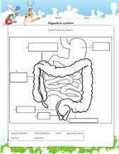 I've also got a free super scientist certificate you can download as a reward for brilliant science! Science Worksheets For Grade 1