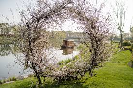 cnwedding wedding show amanyangyun shanghai wedding show wedding tree