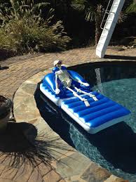 Simple Decoration If You Have A Swimming Pool Skeleton Floating On A Raft With Sunglasses A Hat And A Soda Outdoor Bed Swimming Pools Outdoor Decor