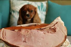 7 Cutest Dog Breeds In The World In 2020 Can Dogs Eat Dog Eating Ham Bone