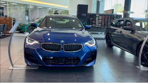 Image result for Misano Blue 2022 2 Series