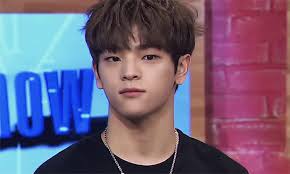 Si Estuvieras En Stray Kids Kpop Kids Read News