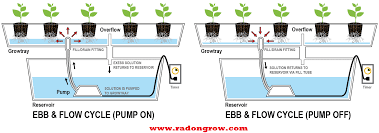 We did not find results for: 5 Ebb And Flow Or Flood And Drain Sub Irrigation Hydroponic Nutrient For Indian Hobby Grower