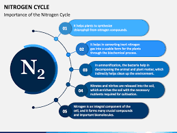 Maybe you would like to learn more about one of these? Nitrogen Cycle Powerpoint Template Ppt Slides Sketchbubble