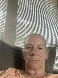 42+ Boykin Spaniel Puppies For Sale in Louisiana