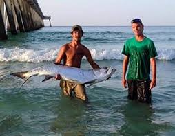Changes almost daily along the beach, so there is no permanent honey hole. Where To Buy Bait In Destin