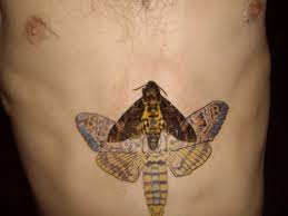 Réaliste ou chimérique, le skull se voit encré au gré du tatoué, sous sa forme la plus sommaire Tableau Peinture Sphinx A Tete De Mort Galerie Creation