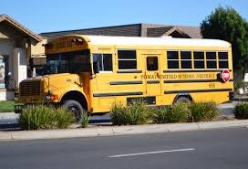 Image result for School Bus Yellow 2019 Transit