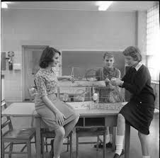 Image result for Gray 1961 Tappan