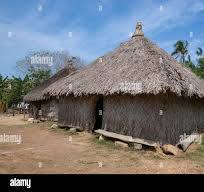 Typical hut palm roof in hi-res stock photography and images ...