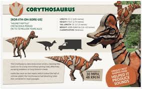Download free dino dan png images, dan wesson firearms, dan, alat dan mesin pertanian, dan connolly, dino run, dan donegan, power rangers dino thunder. Dino Dana Dino Dana Dino Field Guide Dinosaurs For Kids Fossils Prehistoric Hardcover Walmart Com Walmart Com