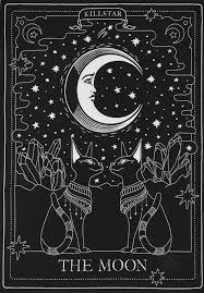 The Moon Tarot Cats In 2020