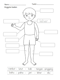 You can do the exercises online or download the worksheet as pdf. Melabel Anggota Badan Bahan Prasekolah Facebook