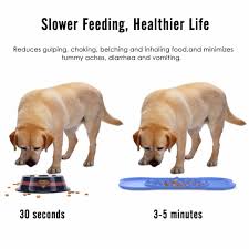 Puzzle feeders may also help cats realize food is readily available. Slow Feed Dog Cat Bowl Food Grade Silicone Slow Feeder Bowls Fun Interactive Maze Puzzle Feeder Prevent Choking Slow Eating Bowl Eating Bowls Silicone Bowlbowl Cat Aliexpress
