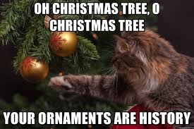 images?q=tbn:ANd9GcTR_SS6hLgVB_nxjoXHzGaPveVBavFgi8vu9sOGLZzN7q95lDuL