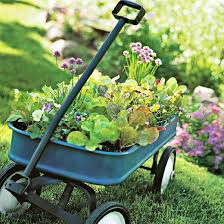 Old Wagon Used As Planter Or For Hauling Plants To Be Put In The Ground Gartencontainer Garten Ideen Topf Und Kubelpflanzen