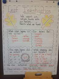 Whole Group Leaf Investigation Fall Kindergarten Fall Preschool Fall Lesson Plans