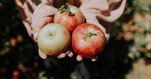 Apfel Kalorien Nahrwerte Gesundheitsvorteile Eat Smarter