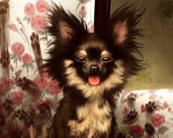 Check spelling or type a new query. Achtergrond Honden Puppy S Leuke Top Gratis Achtergronden