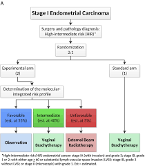 Endometrial cancer usually affects women after menopause. Molecular Integrated Risk Profile To Determine Adjuvant Radiotherapy In Endometrial Cancer Evaluation Of The Pilot Phase Of The Portec 4a Trial Gynecologic Oncology