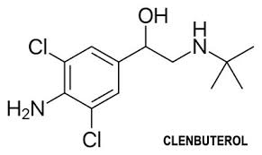 Clenbuterol Reviews And Results Weight Loss On A Clen Cycle