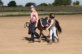 Horse Camp teaches kids about horsemanship, safety | KSNT 27 News