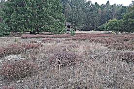 Entdecke 217 anzeigen für ostsee mecklenburg vorpommern haus kaufen zu bestpreisen. Liegenschaften Mecklenburg Vorpommern Haus Und Immobilien Kaufen Oder Verwaltenhaus Und Immobilien Kaufen Oder Verwalten