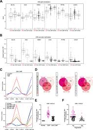 Each engagement benefits from the depth and breadth of. Highly Recurrent Cbs Epimutations In Gastric Cancer Cpg Island Methylator Phenotypes And Inflammation Springerlink