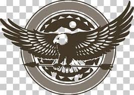 Art Birds Of Prey Logo Eagle Logo Png Clipart American Eagle Outfitters Animals Beak Bird Bird Of Prey Free Png Download Eagle Logo Eagle Eagle Art