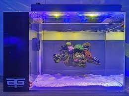 Oceanexus Magnetic Rock Is Perfect For Creating Floating Reefscapes Reef Builders The Reef And Saltwate Aquarium Reef Tank Aquascaping Saltwater Tank Setup