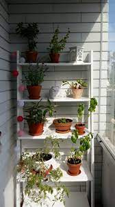 Small Balcony Garden Small Balcony Garden Balcony Garden Garden Organization