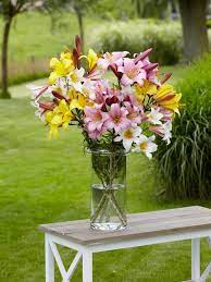 We did not find results for: Long Lasting Cut Flowers Hgtv