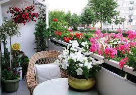 Check spelling or type a new query. Best Flowers For Balcony Garden