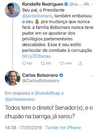 O purgatório da biodiversidade brasileira. Depois De Randolfe Criticar Auxilio Mudanca Dos Bolsonaro Sem Deslocar Um Pe De Meias Pitbull Carlos Tenta Intimidar Senador E O Chupao Na Barriga Viomundo