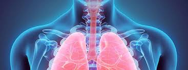 Ventolin Hfa Albuterol Sulfate Inhalation Aerosol Uses Dosage Side Effects Interactions Warning