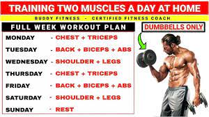 Two Muscles Groups Per Day Workout Plan Full Week Workout Plan At Home With Dumbbells Youtube