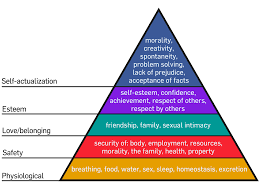 maslows hierarchy of needs with paper cups psychology